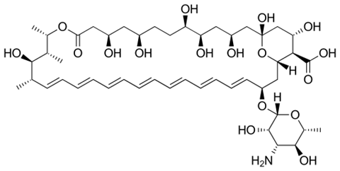 Amphotericin B