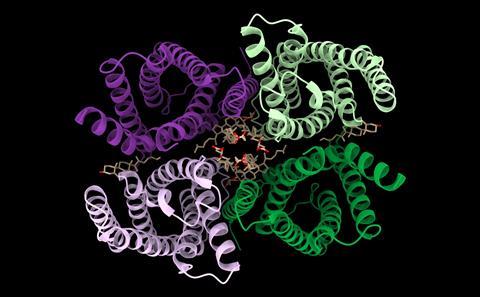 PDB_6nf4_Top_view,_colored,_cartoon_representation