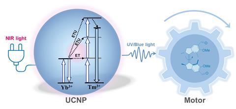 Graphical Abstract