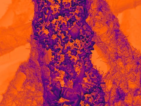 SEM of tin on carbon catalyst 2_no annotation