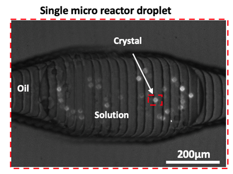 Single microreactor druppel