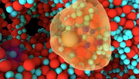 Organische nanodeeltjes (rood) geven antibacteriële middelen af om bacteriën (blauw) in cellen te kunnen doden.