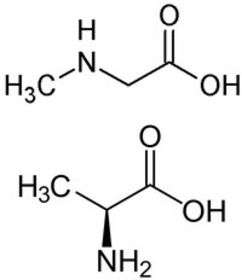 Sarcosine (boven) en L-alanine.