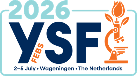 logo_ysf
